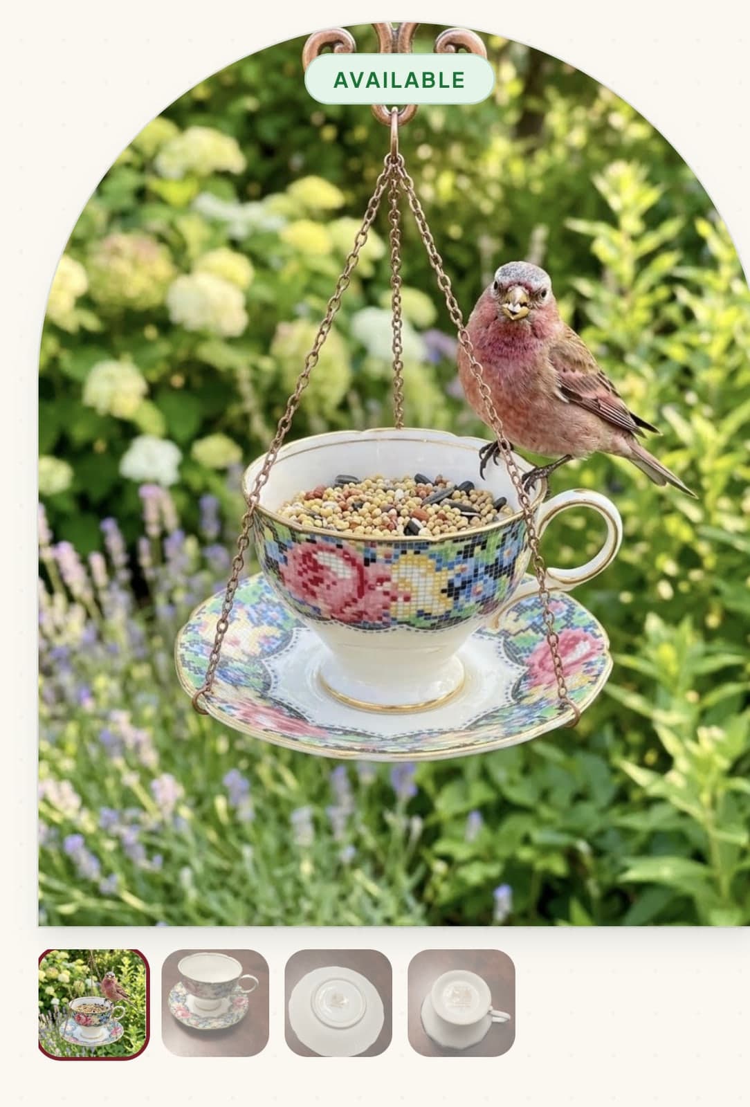 Bird feeder